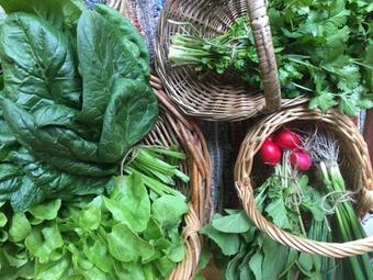 Villa The Woodsman's Den