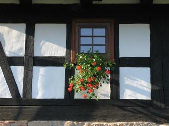 Posada Go?ciniec Pod Zielonym Jajem