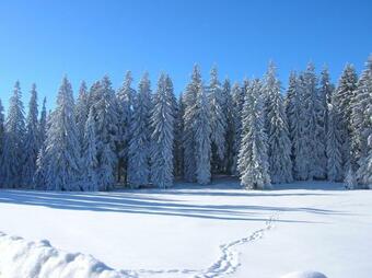 Hostal Guest House Golijski Dar