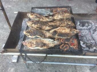 Bed & Breakfast Zijin Homestay