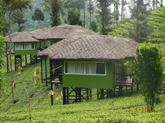 Hotel Wild Planet Jungle Resort