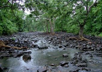 Hotel Mpt Sagoun Retreat, Delawadi