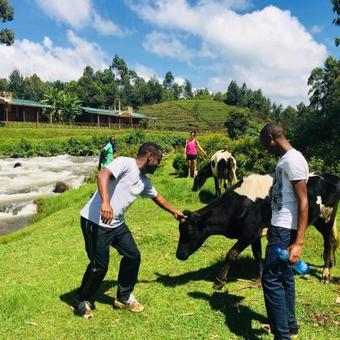 Aberdare Cottages & Fishing Lodge