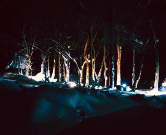 Apartamenty Innwersja