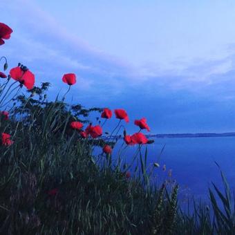 Hotel ???? ?????? "???? ? ??????"