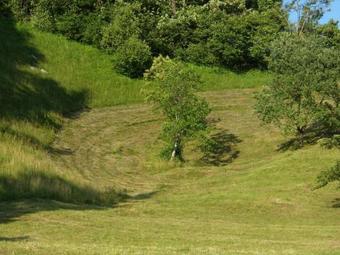 Apartments Turist Farm ?torman