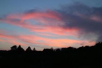 West Wood Aparthotel