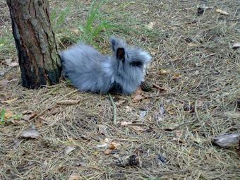 Holiday Villas Valentina