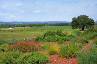 Posada Rose Hill Manor . Aaa Four Diamond Inn