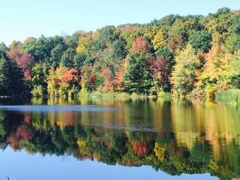 Agroturismo Chalet On The Hill