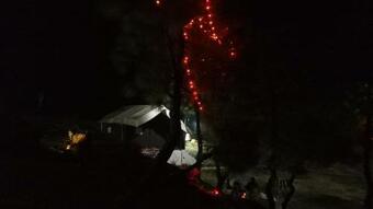 Camp Jungle Junction