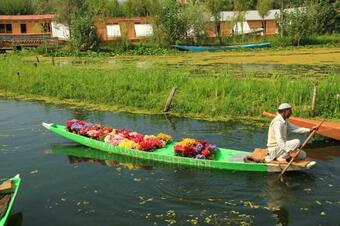 Ver fotos