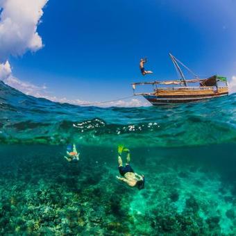 Hotel Shimoni Reef Lodge