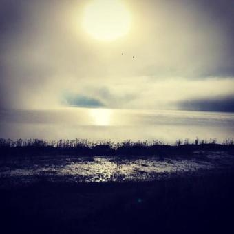 Samawati Lakeside Cottages