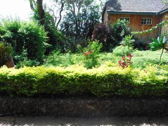 Naro Moru River Lodge