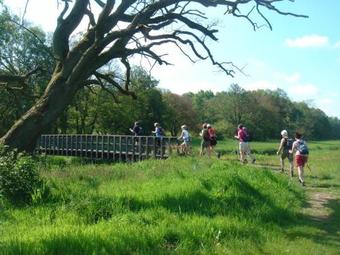 Posada Herberg De Fazant