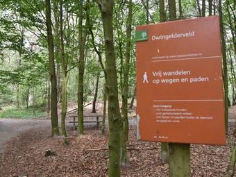 Cozy Chalet In Norg Near Museums