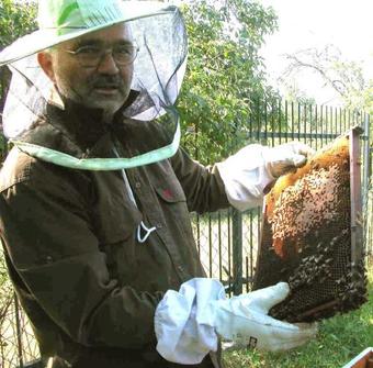 Agroturystyka U Ostrowskich