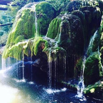 Hostal Casa "la Moara Din Gradina"