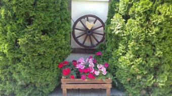 Posada Guest Yard Vivat