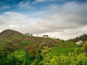 Hotel Green Nest Resort Ooty