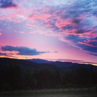 Bluebird Hill Farm B&B