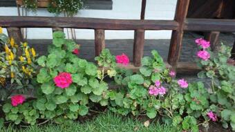 Albergue The Bridge To Ecuador