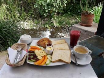 Bed & Breakfast Dragonfly Inn Hotel And Restaurant Mindo