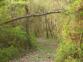 Reserva La Juana Ecolodge