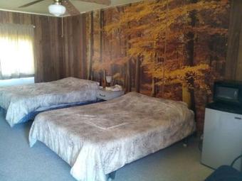 Hotel Mountaineer Motel