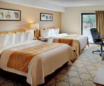 Hotel Comfort Inn Prince Albert