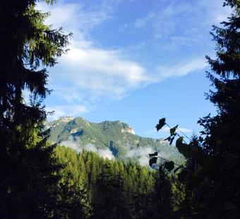 Hostal Agordo Cerbiatto