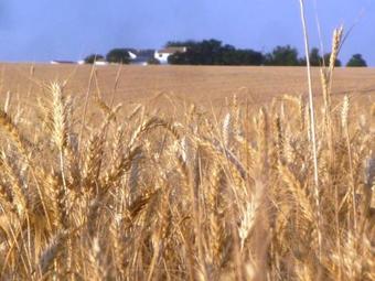 Agroturismo Cortijo De Vega Grande