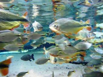 Posada Pousada Lagoa Azul