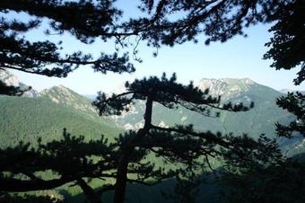 Agroturismo Domacinstvo Popov Most