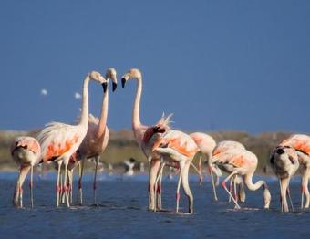 Hotel Parque Da Lagoa