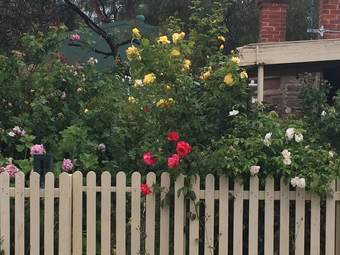 Bed & Breakfast Blyth Cottage Burra