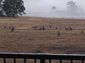 Margaret River Farmhouse