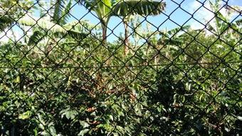 Casa En Zona Tranquila Y Rural