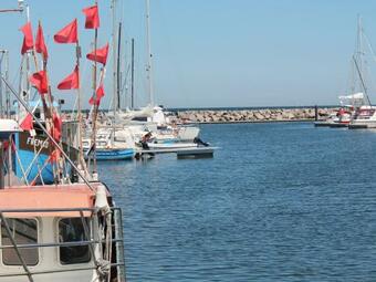 Cozy Apartment With Sauna In Wischuer