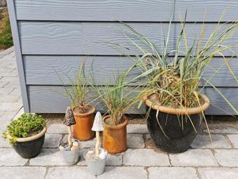 Two-bedroom Holiday Home In Otterup 7