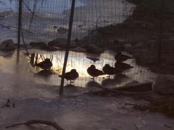 Apartamento Mol� De F�rnols