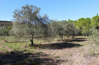 Holiday Home B�darieux - Ldr01223-f