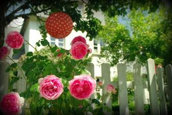 Bed & Breakfast Un Parfum De Violette