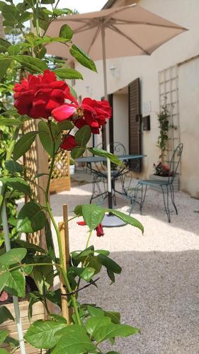 Apartamentos M Comme Meursault