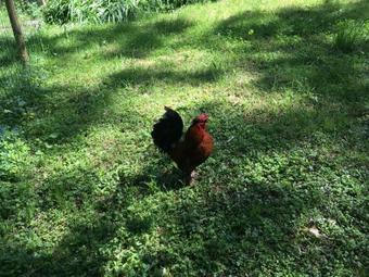 Beautiful Private House Near To The Theme Park