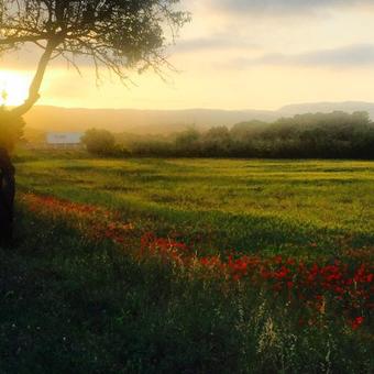 Bed & Breakfast Le Flamant Rouge Guesthouse