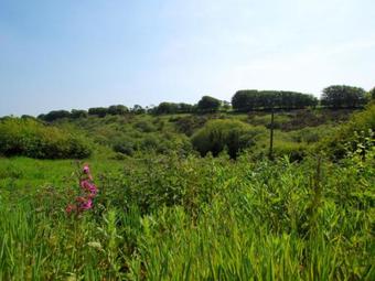 Holiday Home Holly Cottage