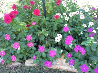 Hostal Pousada Luar Do Cip�