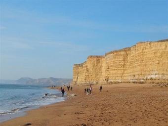 Little Berwick Cottage, Burton Bradstock